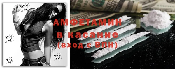 твердый Пересвет