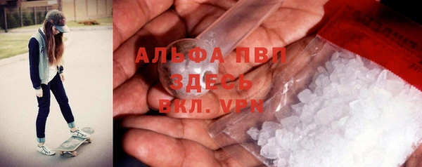 твердый Пересвет