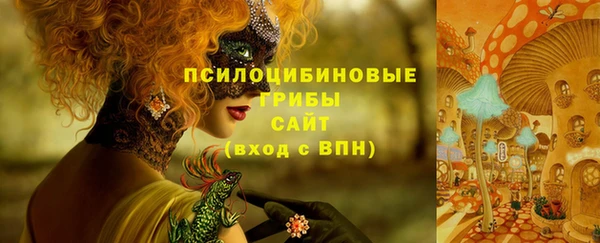 твердый Пересвет
