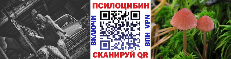 Псилоцибиновые грибы MAGIC MUSHROOMS  закладки  Чебаркуль 